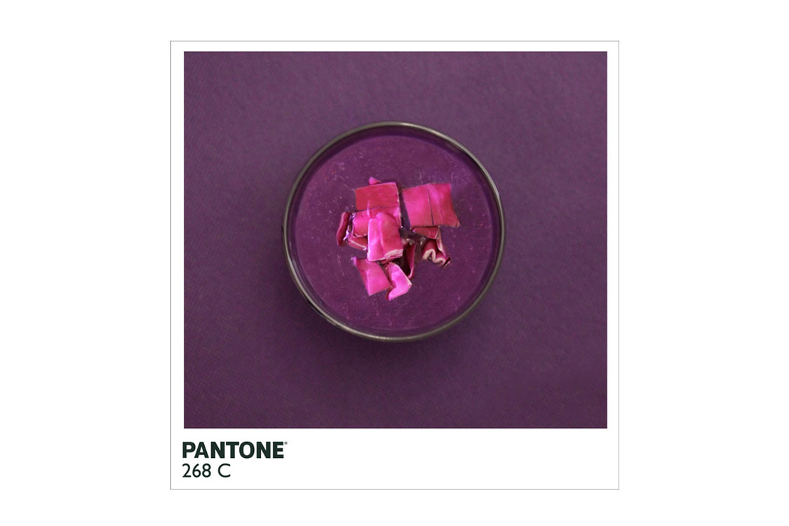 La cuisine Pantone d’Alison Anselot