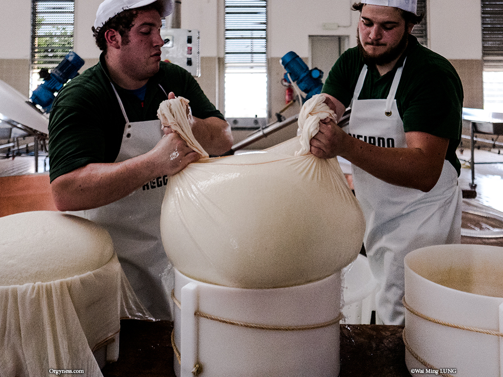 Il Parmigiano Reggiano