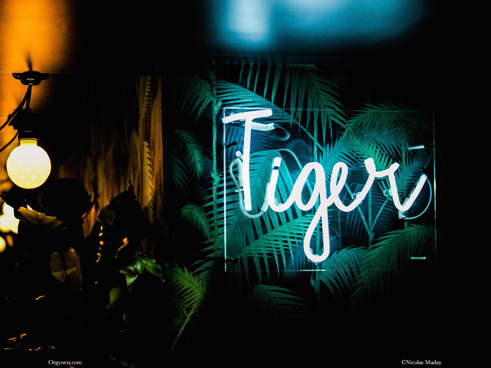 Le Tiger, Paris