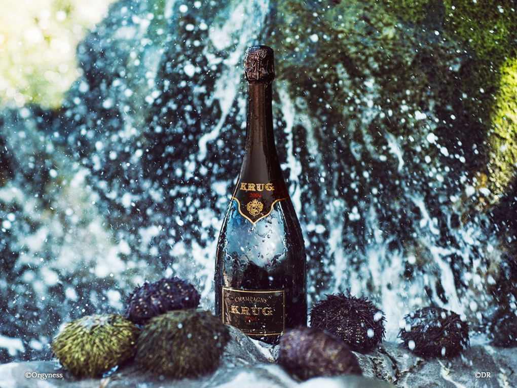 Krug 2004