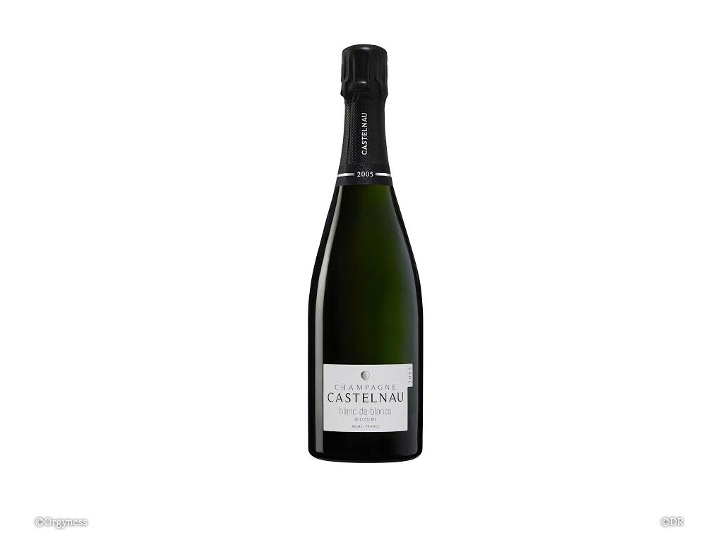 Castelnau, Blanc de Blancs 2005