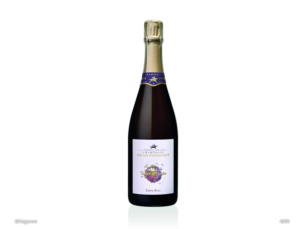 Champagne Régis Poissinet, Terre d’Irizée